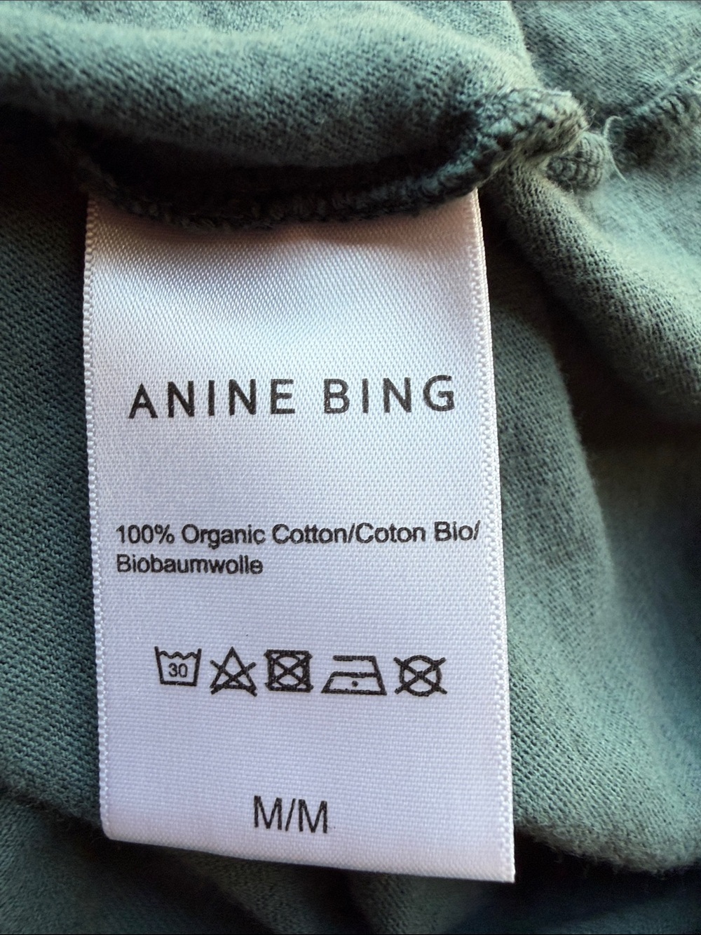 ANINE BING Men's Teal Graphic Eagle Tee - Picture 6 of 7